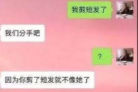 城中债务清欠服务